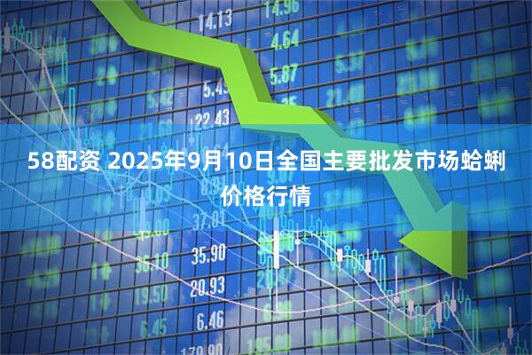 58配资 2025年9月10日全国主要批发市场蛤蜊价格行情