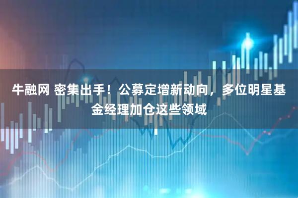 牛融网 密集出手！公募定增新动向，多位明星基金经理加仓这些领域